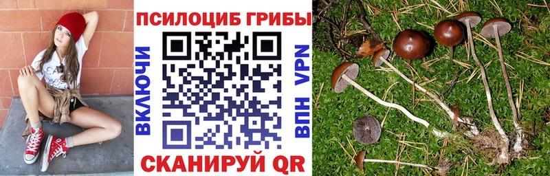 Псилоцибиновые грибы мухоморы  Купить  Суздаль 